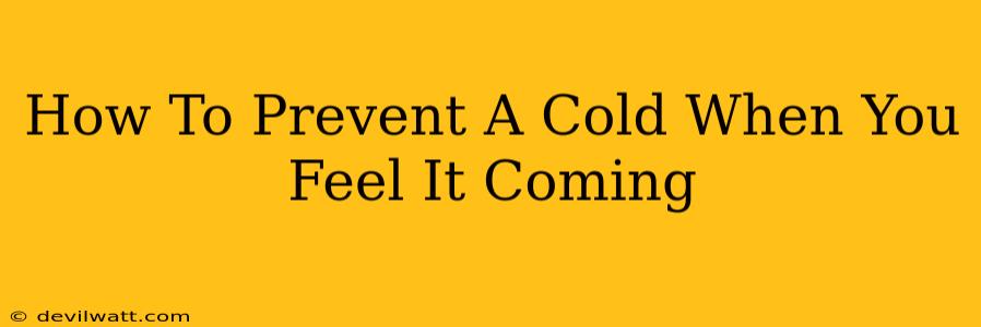 How To Prevent A Cold When You Feel It Coming