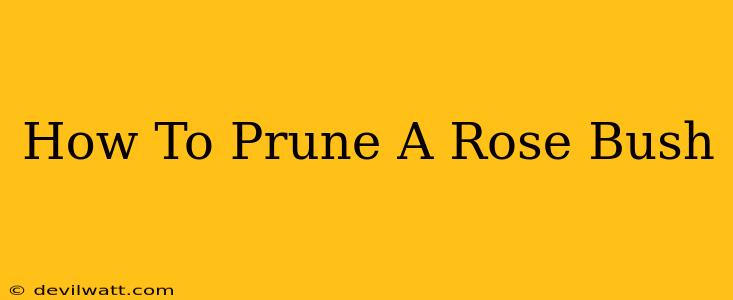 How To Prune A Rose Bush