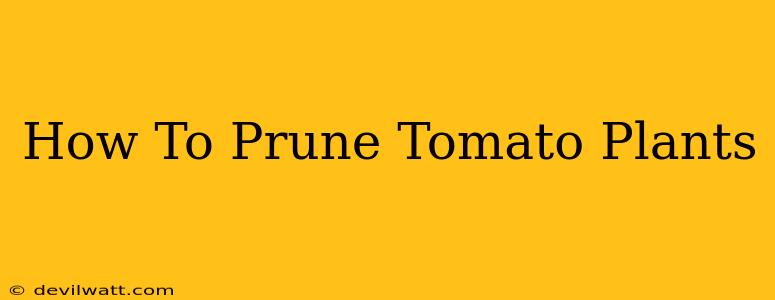 How To Prune Tomato Plants