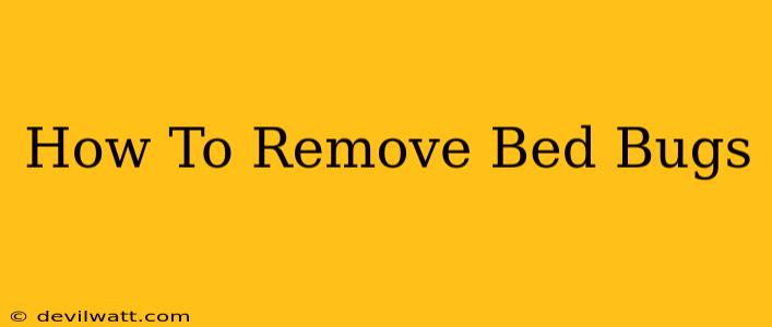 How To Remove Bed Bugs