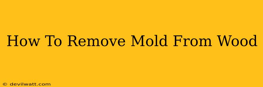 How To Remove Mold From Wood