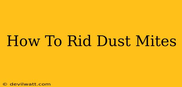 How To Rid Dust Mites