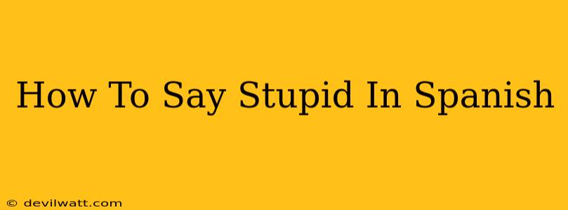 How To Say Stupid In Spanish