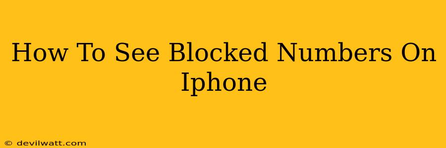 How To See Blocked Numbers On Iphone