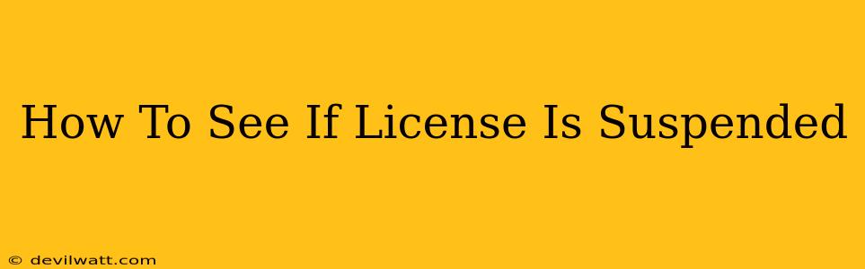 How To See If License Is Suspended