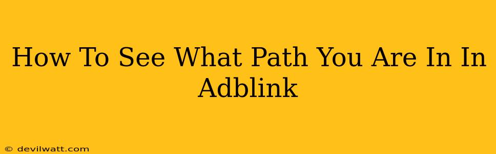 How To See What Path You Are In In Adblink