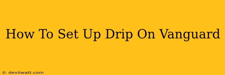 How To Set Up Drip On Vanguard