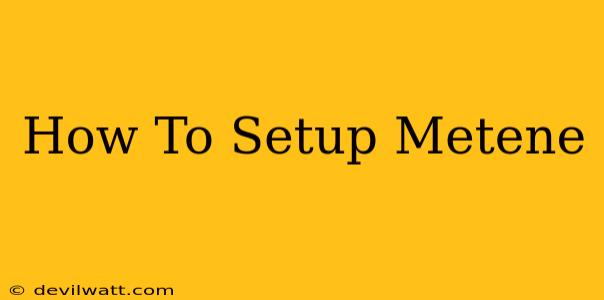 How To Setup Metene