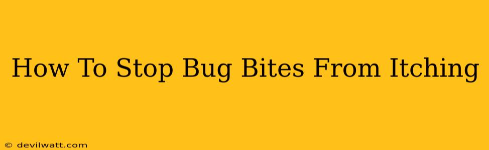 How To Stop Bug Bites From Itching