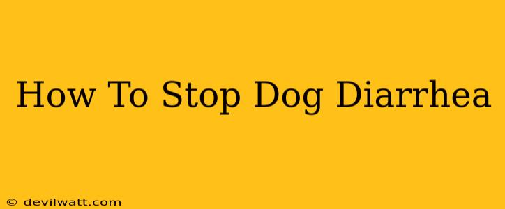 How To Stop Dog Diarrhea