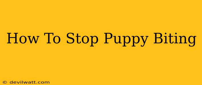 How To Stop Puppy Biting