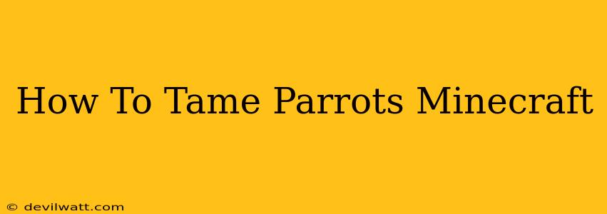 How To Tame Parrots Minecraft