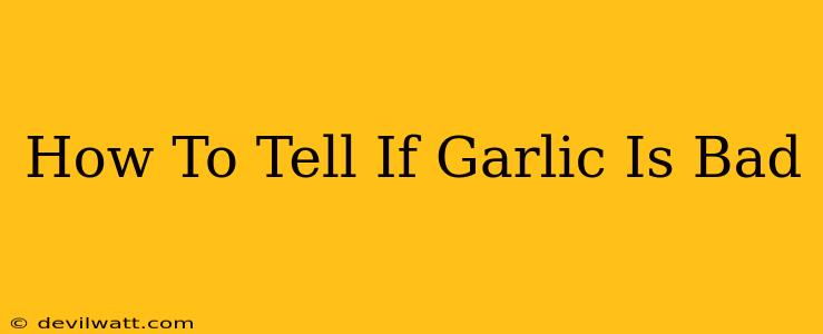 How To Tell If Garlic Is Bad