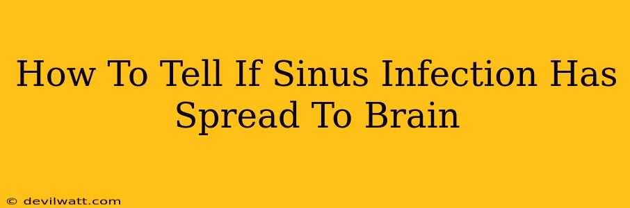 How To Tell If Sinus Infection Has Spread To Brain