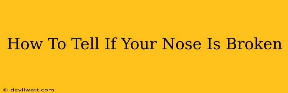 How To Tell If Your Nose Is Broken