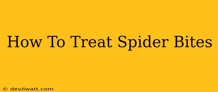 How To Treat Spider Bites