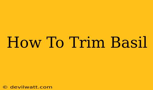 How To Trim Basil