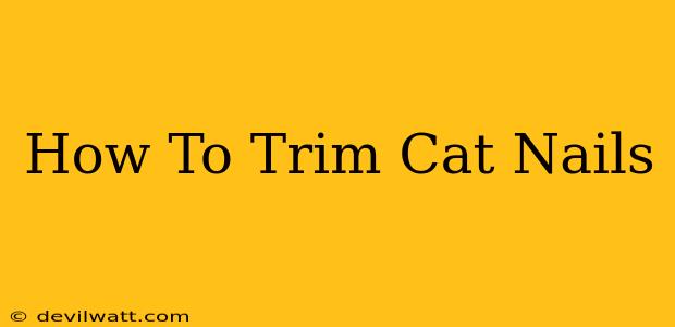 How To Trim Cat Nails