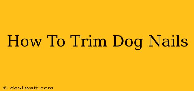 How To Trim Dog Nails