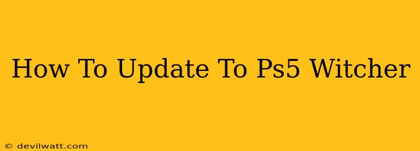 How To Update To Ps5 Witcher