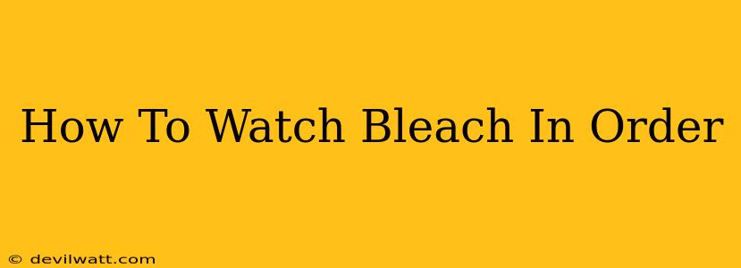 How To Watch Bleach In Order