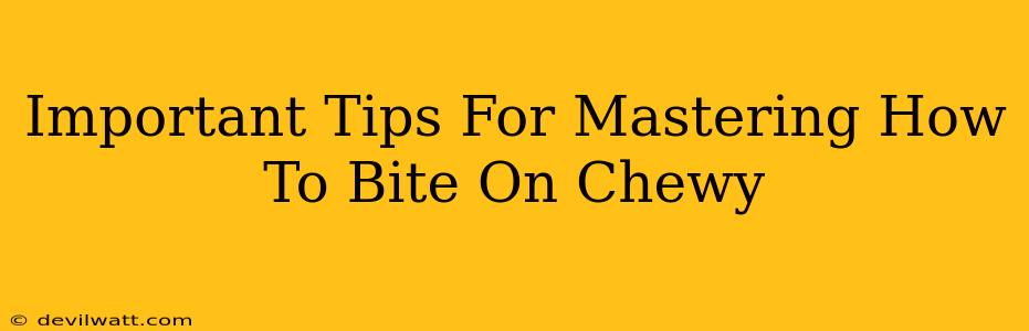 Important Tips For Mastering How To Bite On Chewy