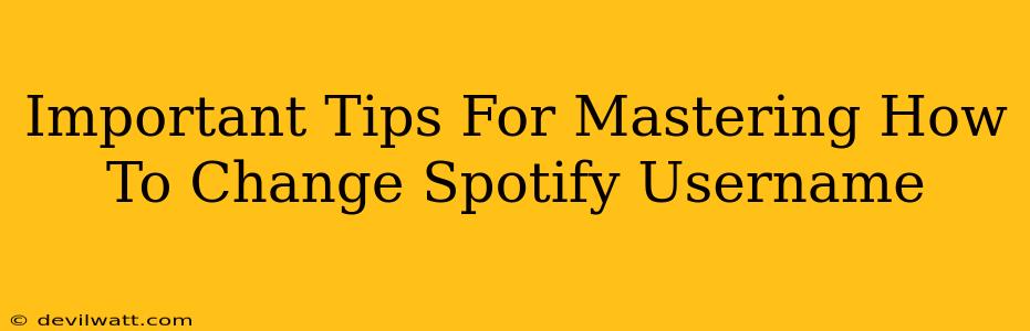 Important Tips For Mastering How To Change Spotify Username