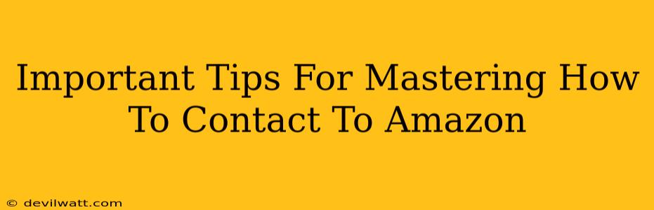 Important Tips For Mastering How To Contact To Amazon