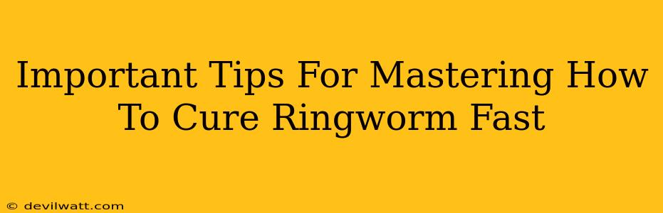 Important Tips For Mastering How To Cure Ringworm Fast