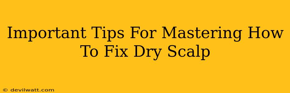 Important Tips For Mastering How To Fix Dry Scalp