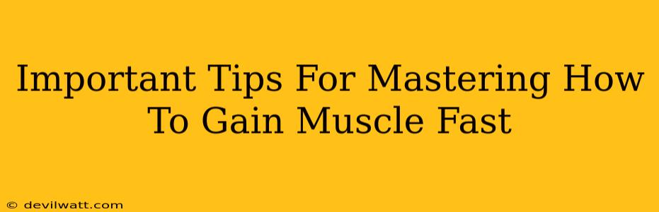 Important Tips For Mastering How To Gain Muscle Fast