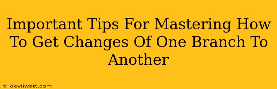 Important Tips For Mastering How To Get Changes Of One Branch To Another