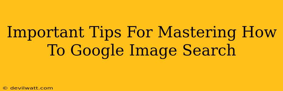 Important Tips For Mastering How To Google Image Search