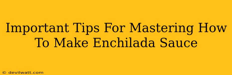 Important Tips For Mastering How To Make Enchilada Sauce