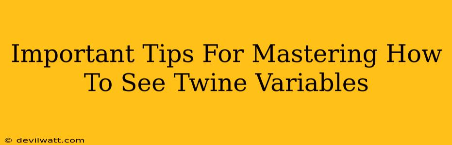 Important Tips For Mastering How To See Twine Variables