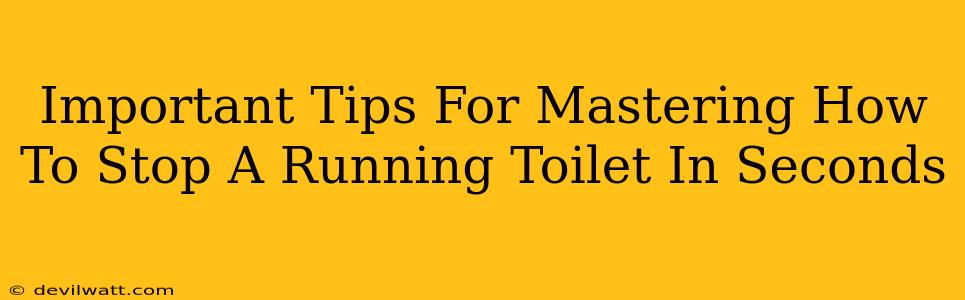 Important Tips For Mastering How To Stop A Running Toilet In Seconds