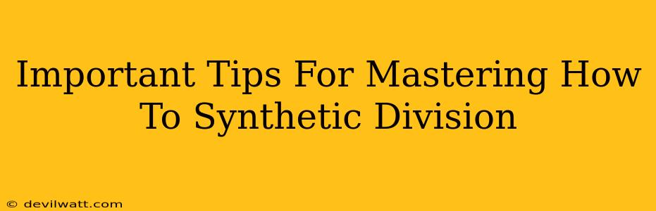 Important Tips For Mastering How To Synthetic Division