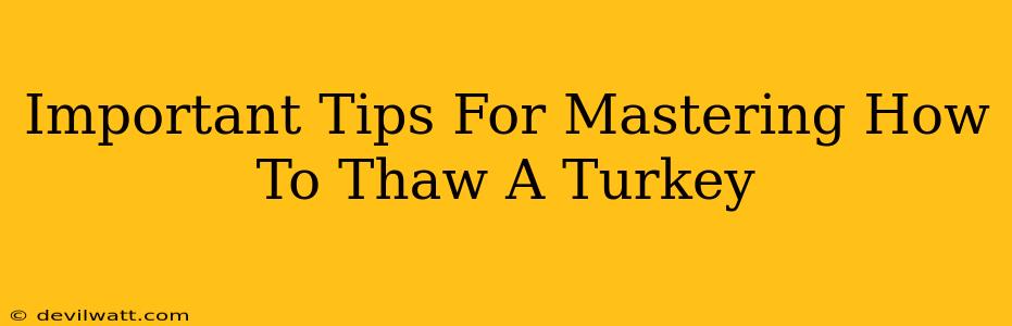 Important Tips For Mastering How To Thaw A Turkey