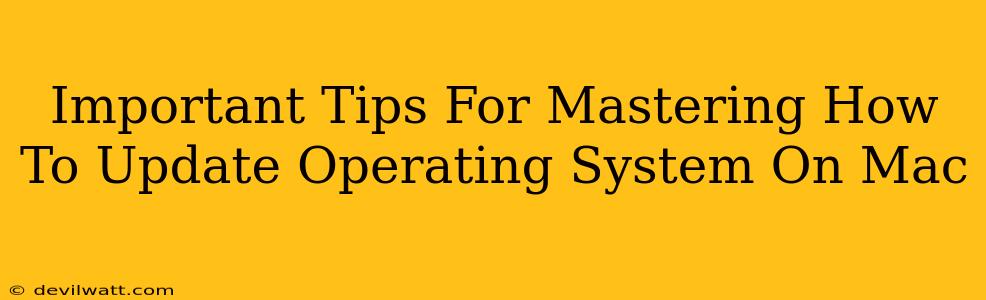 Important Tips For Mastering How To Update Operating System On Mac