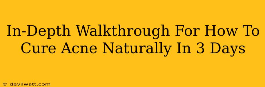 In-Depth Walkthrough For How To Cure Acne Naturally In 3 Days