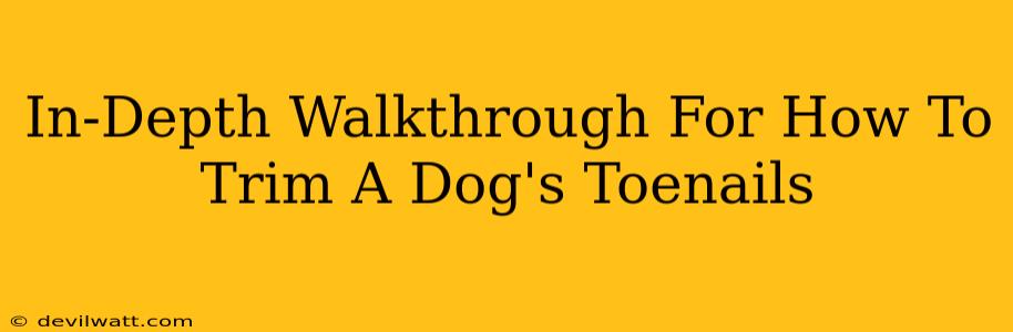 In-Depth Walkthrough For How To Trim A Dog's Toenails