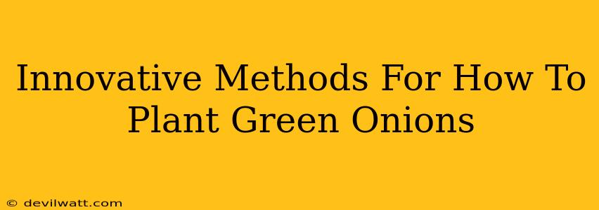 Innovative Methods For How To Plant Green Onions