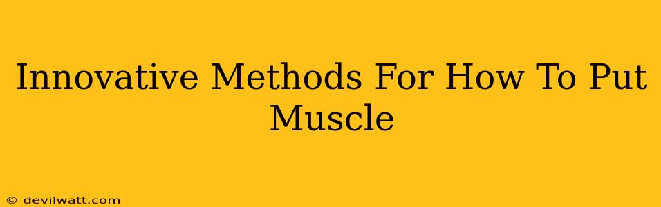 Innovative Methods For How To Put Muscle