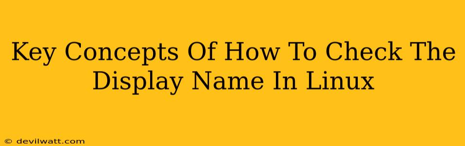 Key Concepts Of How To Check The Display Name In Linux