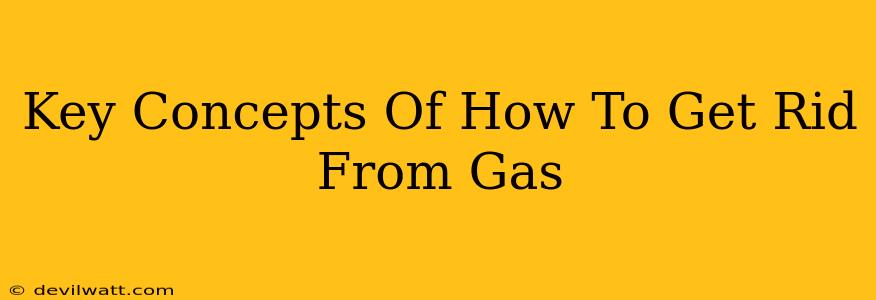 Key Concepts Of How To Get Rid From Gas