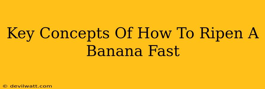 Key Concepts Of How To Ripen A Banana Fast