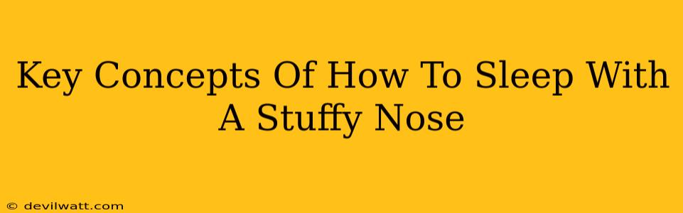 Key Concepts Of How To Sleep With A Stuffy Nose