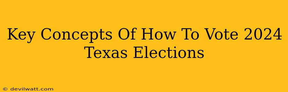 Key Concepts Of How To Vote 2024 Texas Elections