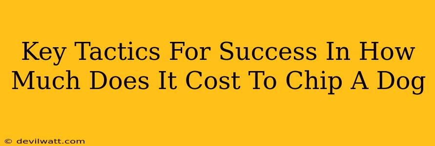 Key Tactics For Success In How Much Does It Cost To Chip A Dog