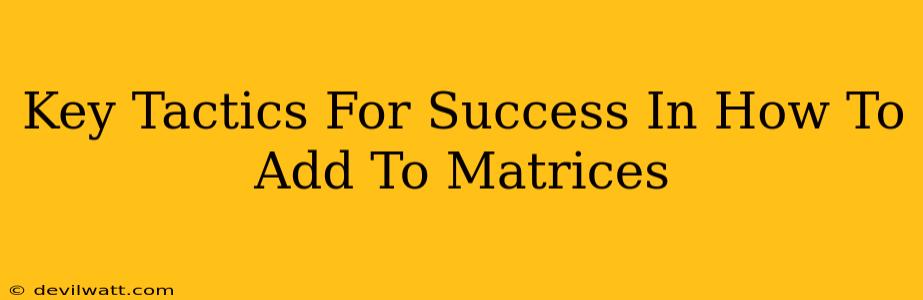 Key Tactics For Success In How To Add To Matrices